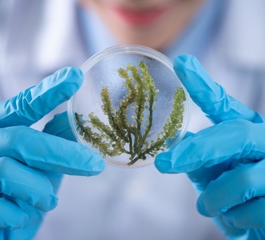 The Birth Of A Pharmaceutical Trailblazer